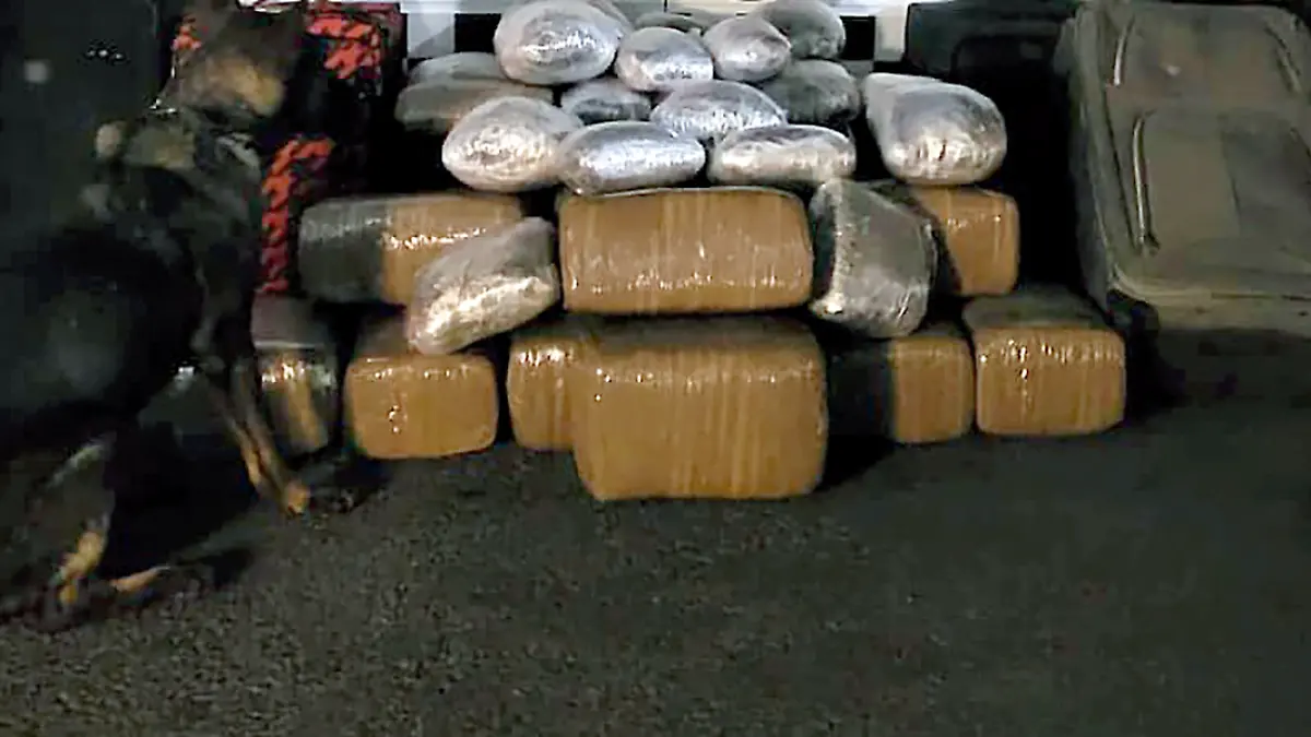 Paquetes con mairhuana asegurados en la central camionera de Zacatecas