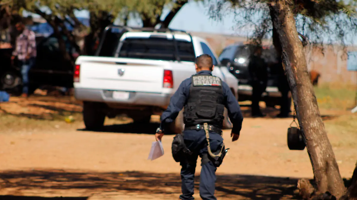 policiaca201811064