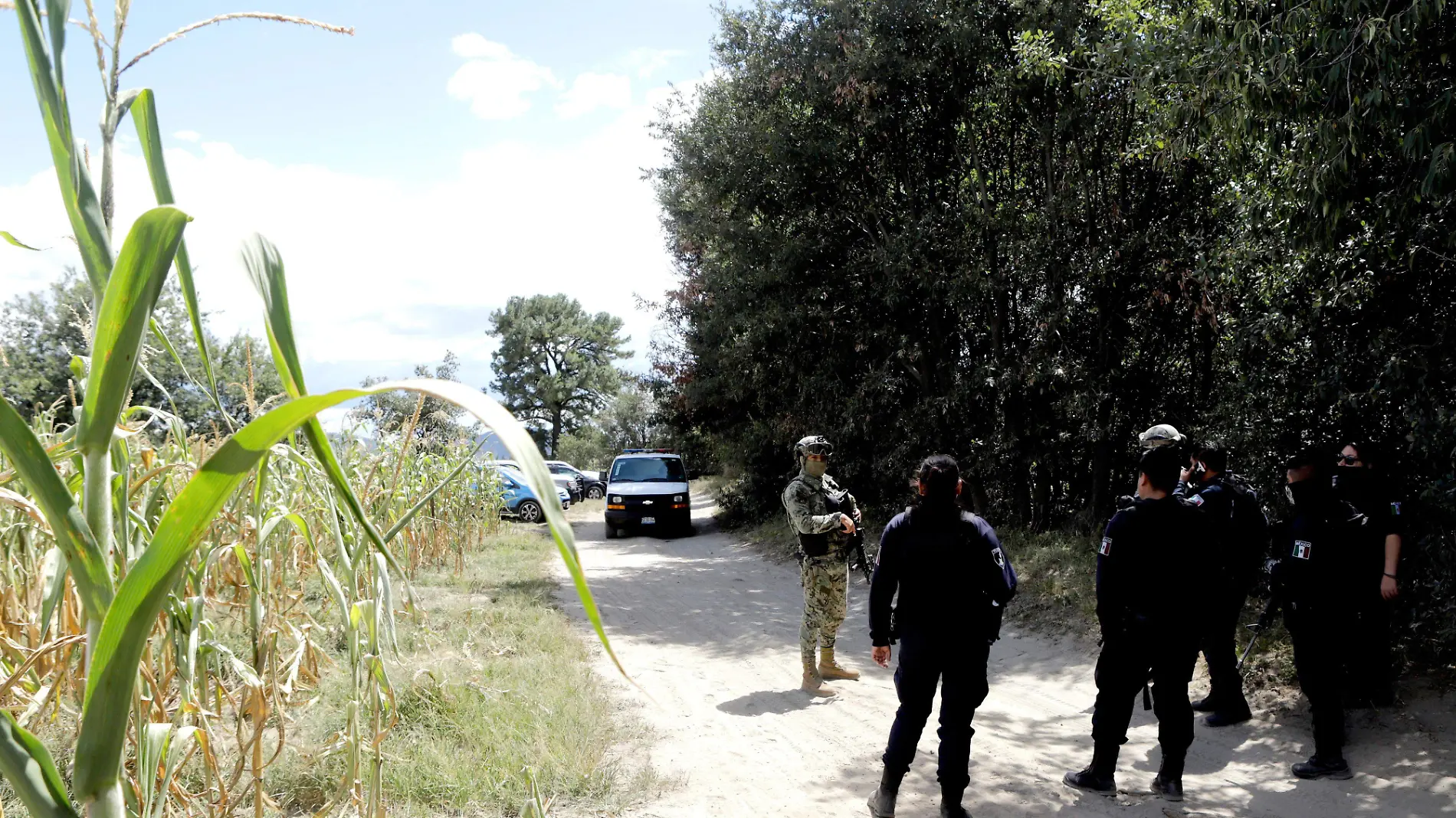 policiaca201811066