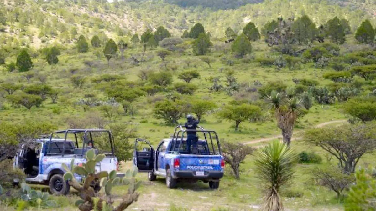 Elementos de la Policía Estatal Preventiva en operativo en zona serrana de Zacatecas