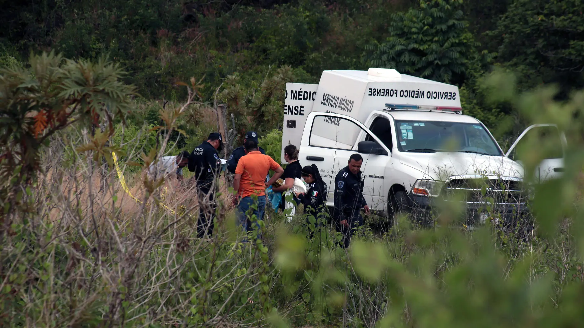 policiaca201811062