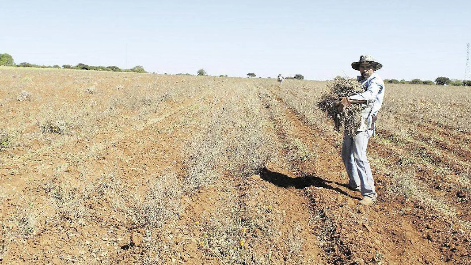 Tierras-de-labor-secas