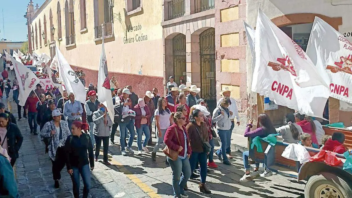 Marcha-del-FPLZ