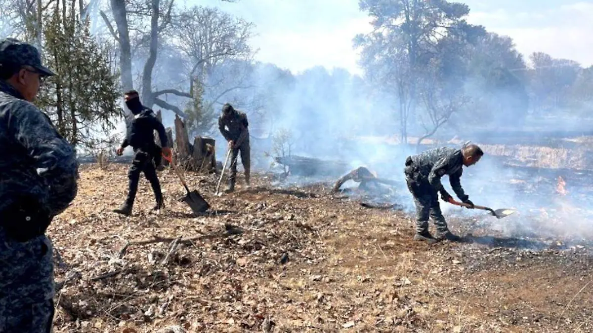 Labores de sofocación en incendio en Monte Escobedo, Zacatecas