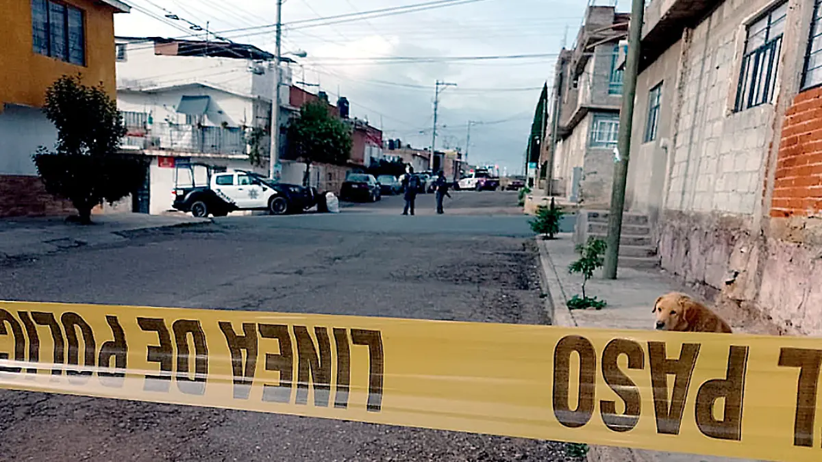 Han identificado a cuatro de los ocho cuerpos encontrados en la comunidad Benito Juárez, Zacaecas