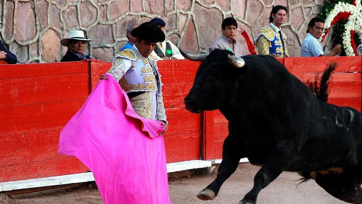 torero frente al toro