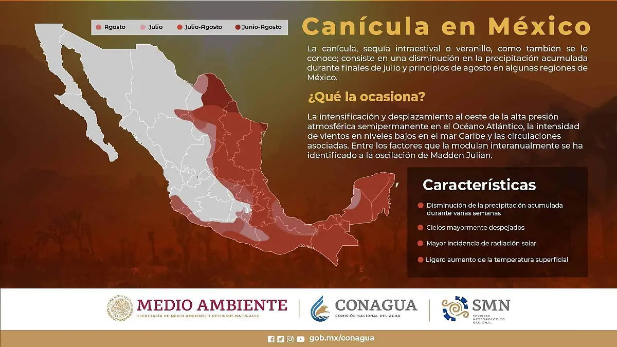 Infografía canícula SMN