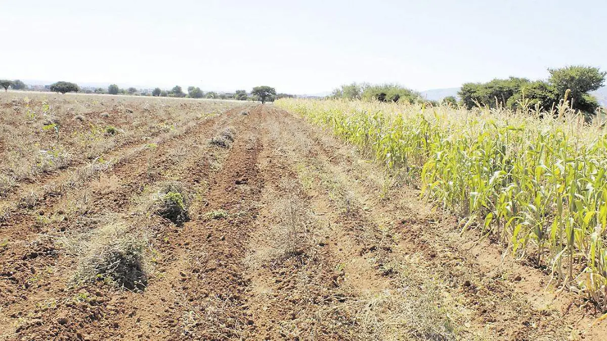 Tierras-de-cultivo-sin-agua