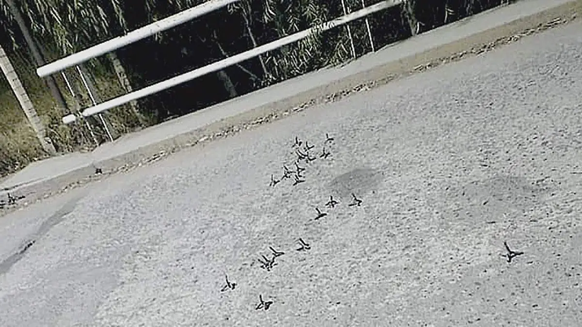 estrellas-ponchallantas