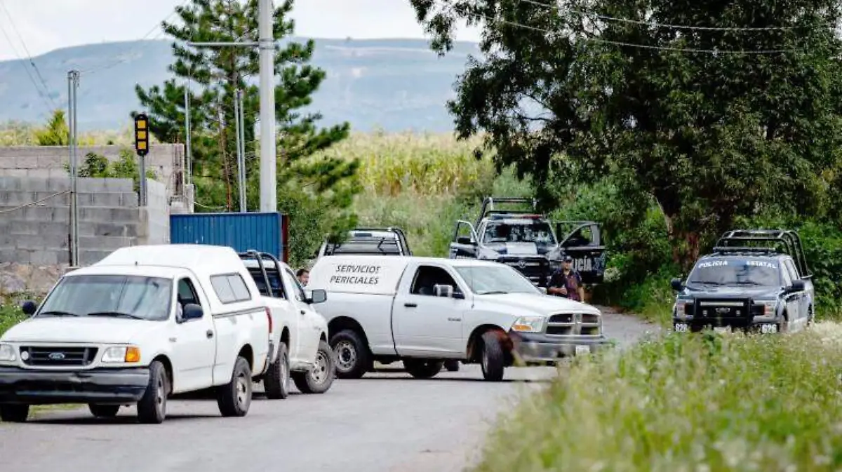 Patrullas y ambulancias del Servicio Médico Forense