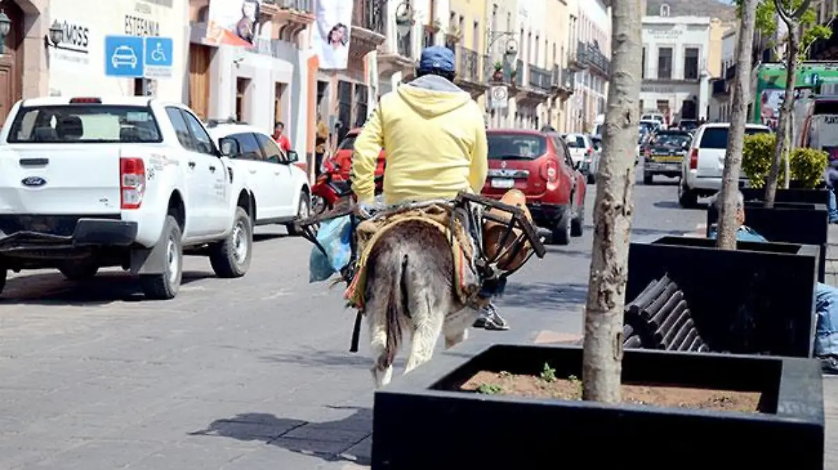 zacatecas201703081