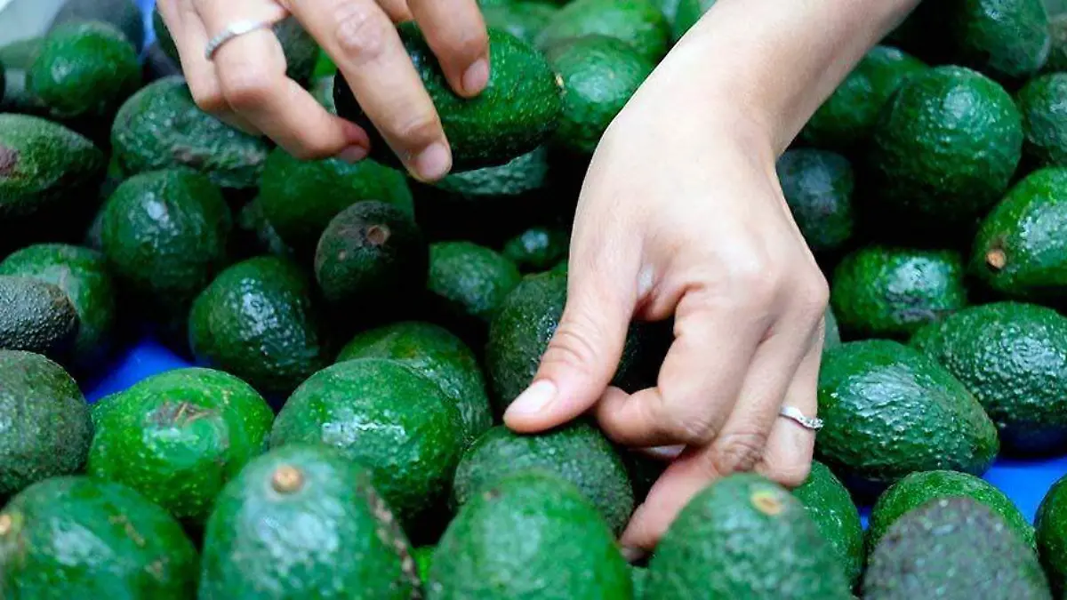 Aguacates