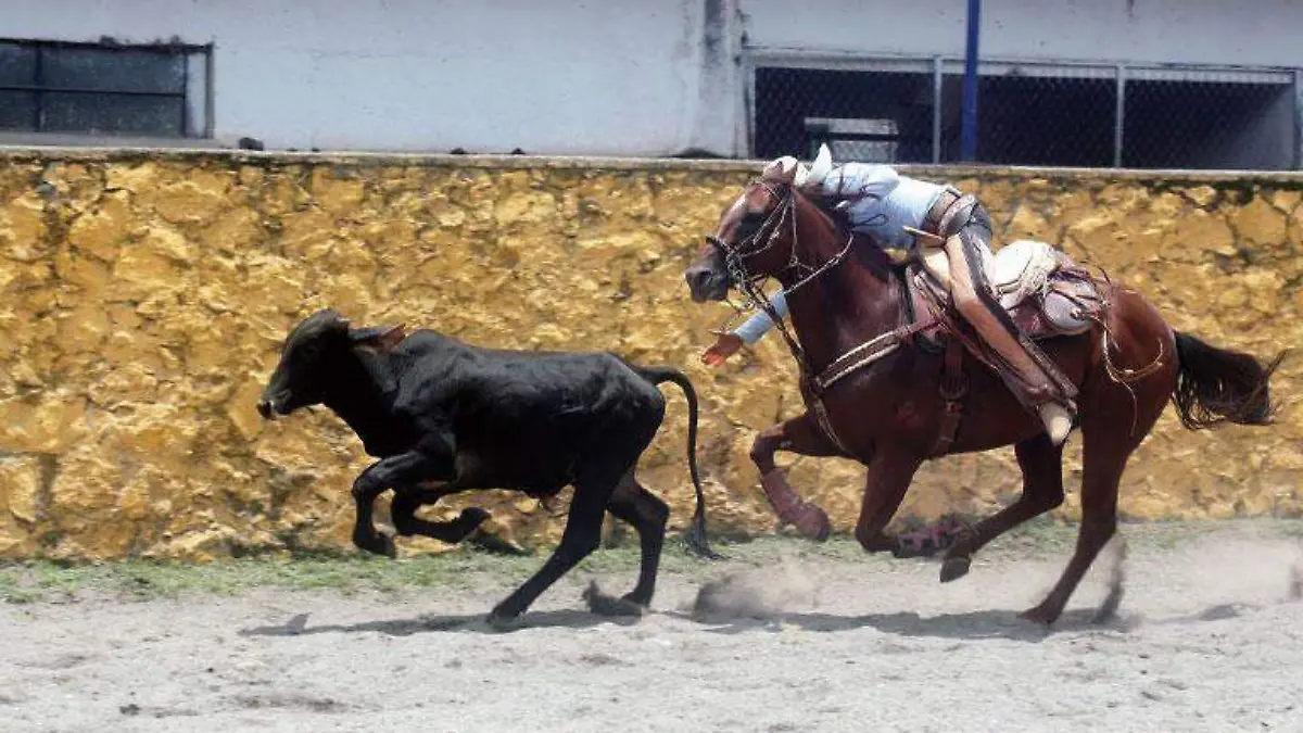 deportes20101010