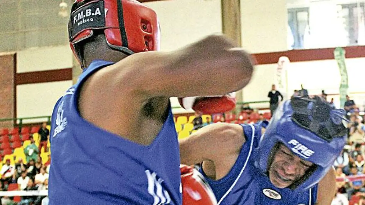 box-amateur-zacatecas