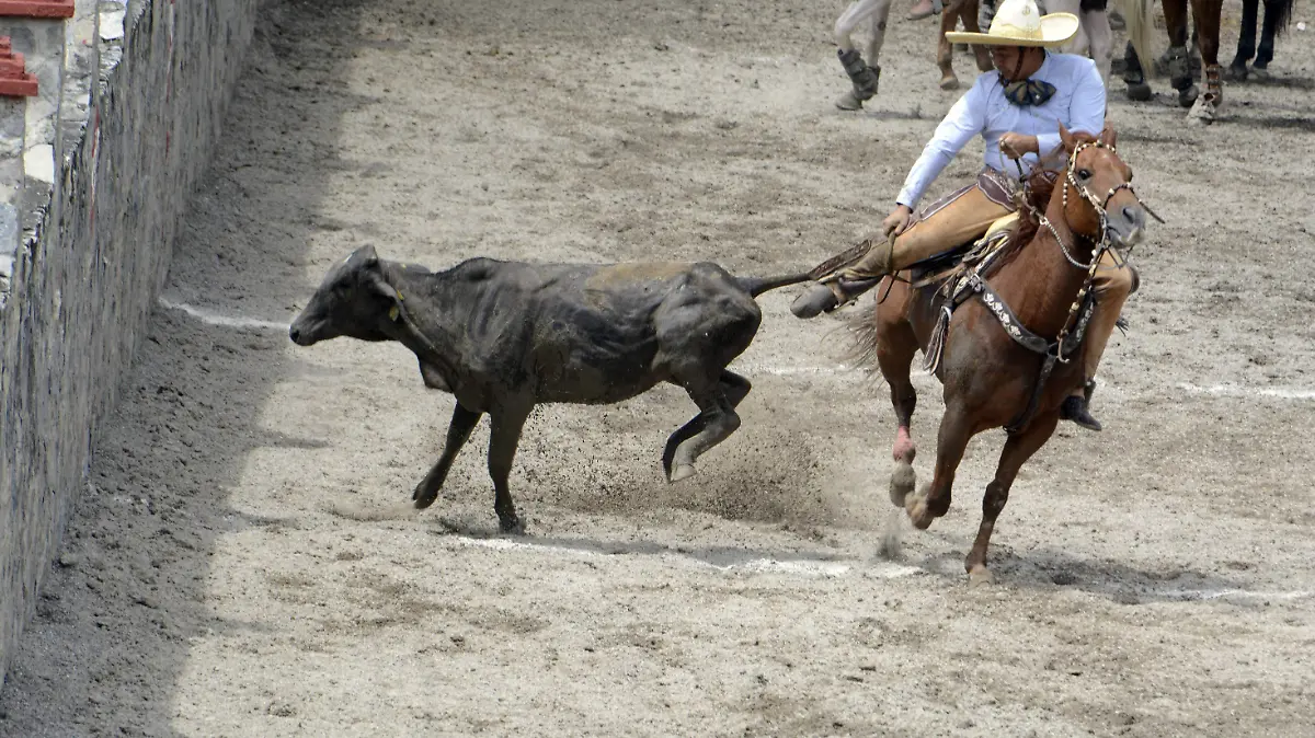 deportes201903294