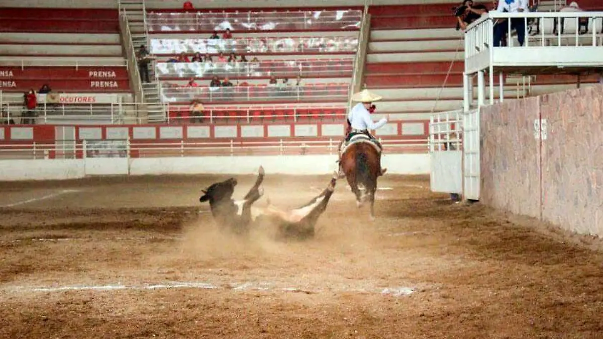 deportes2020110101
