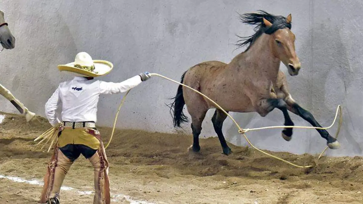 deportes20101016