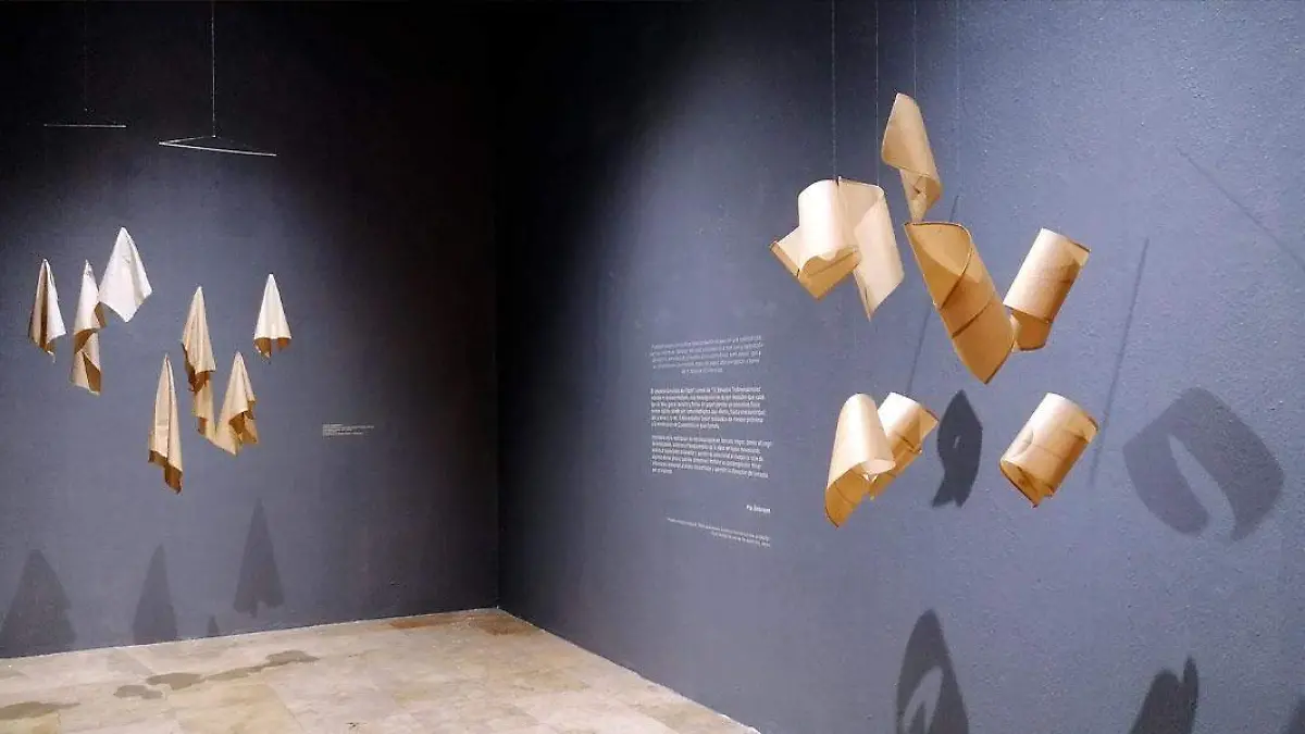 exposiciones210101