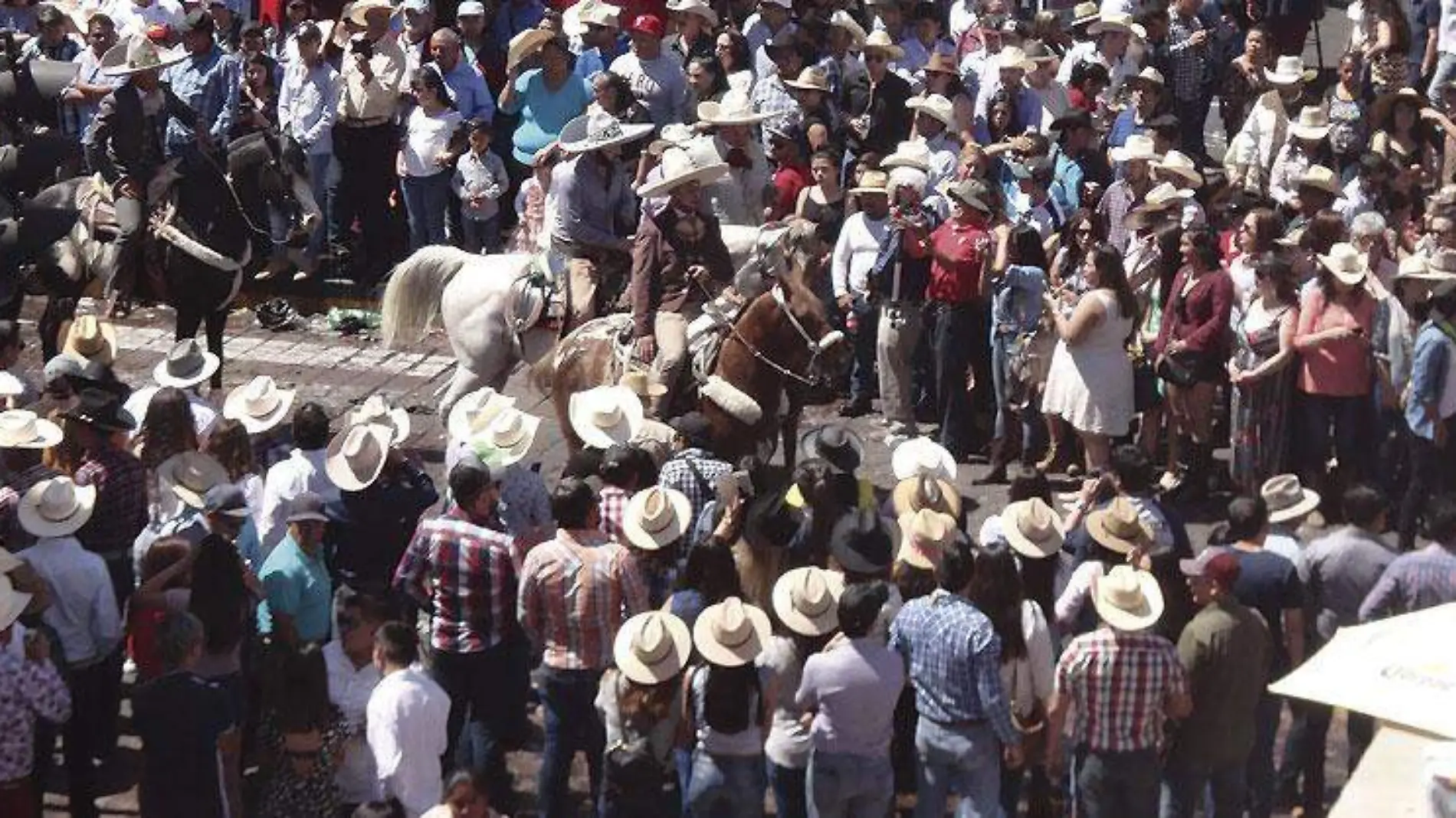 municipios20210101