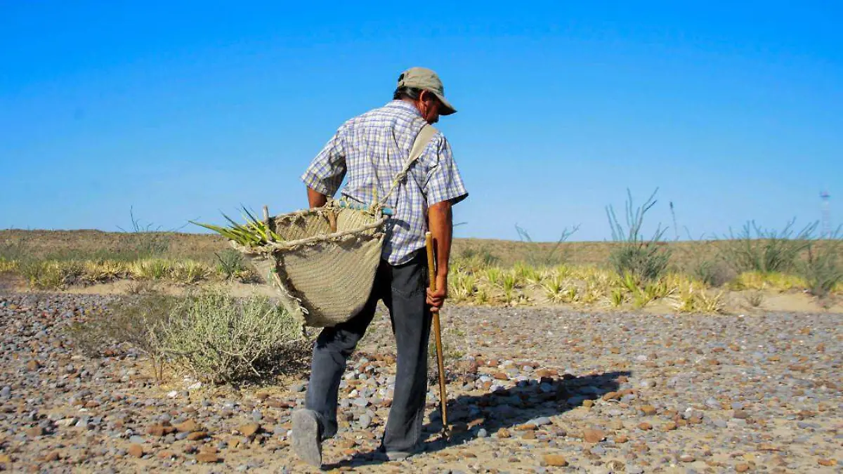 Sembradío con poca agua
