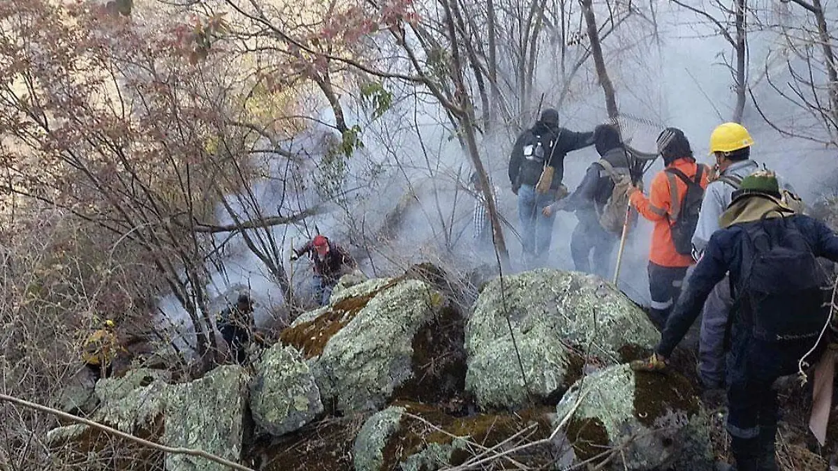 Combatienes-en-incendio-forestal