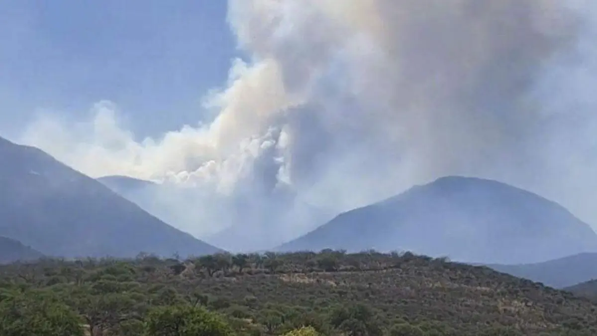 Incendio-en-Tepetongo,-Zacatecas