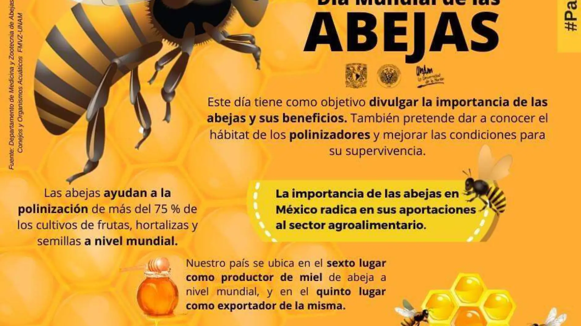 Infografía abejas