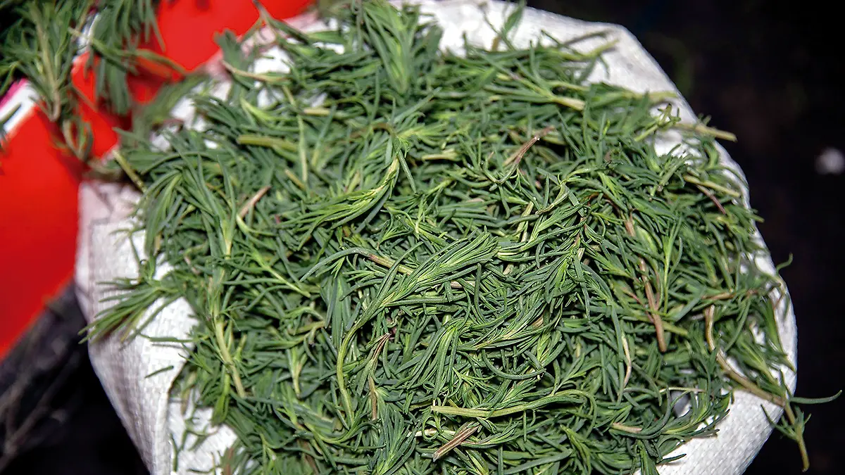 Romerito