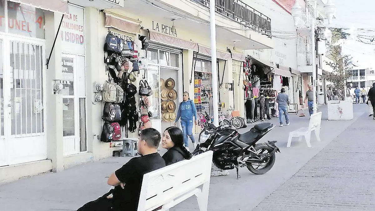 Comercios-en-Fresnillo