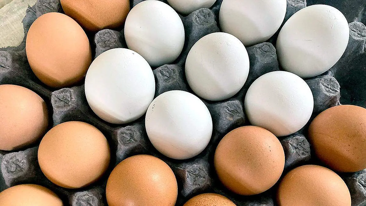 Huevos