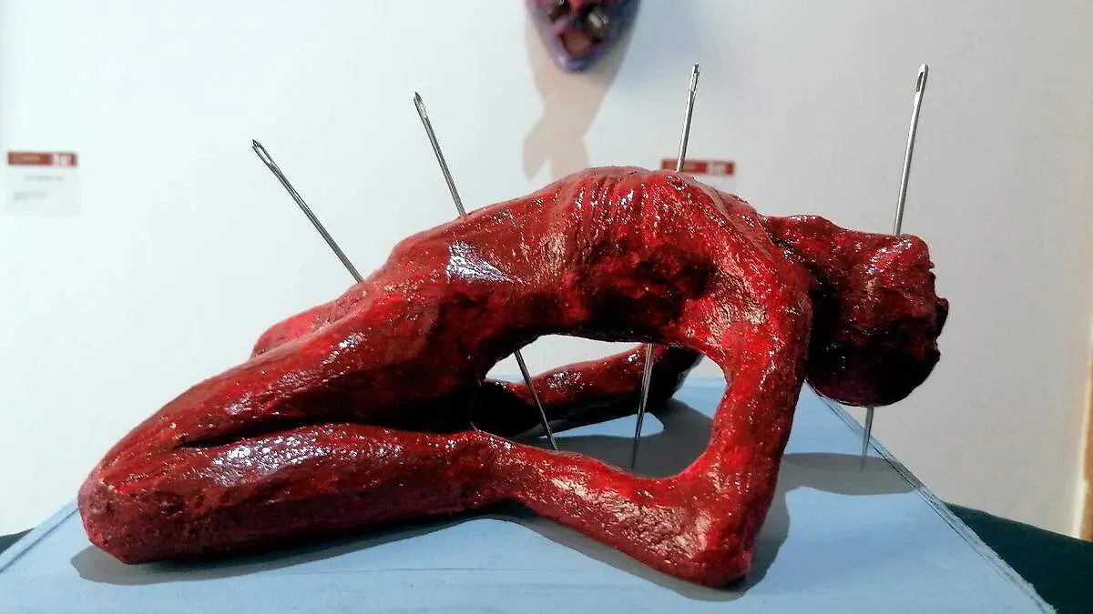 Exposición Estrato