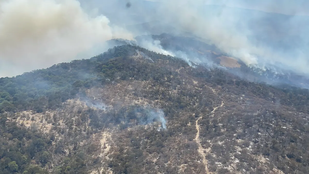 Incendio cerro chino, en Tepechitlán, Zacatecas