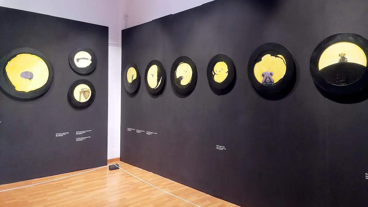Exposición de arte