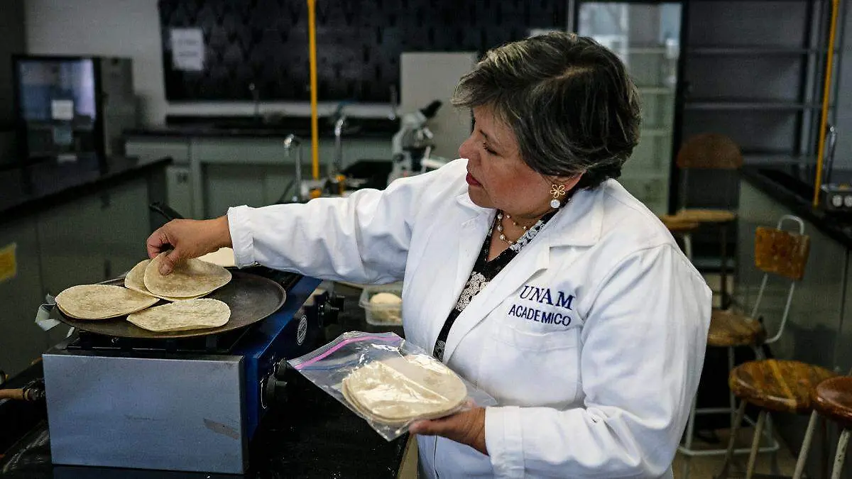 Investigadora UNAM