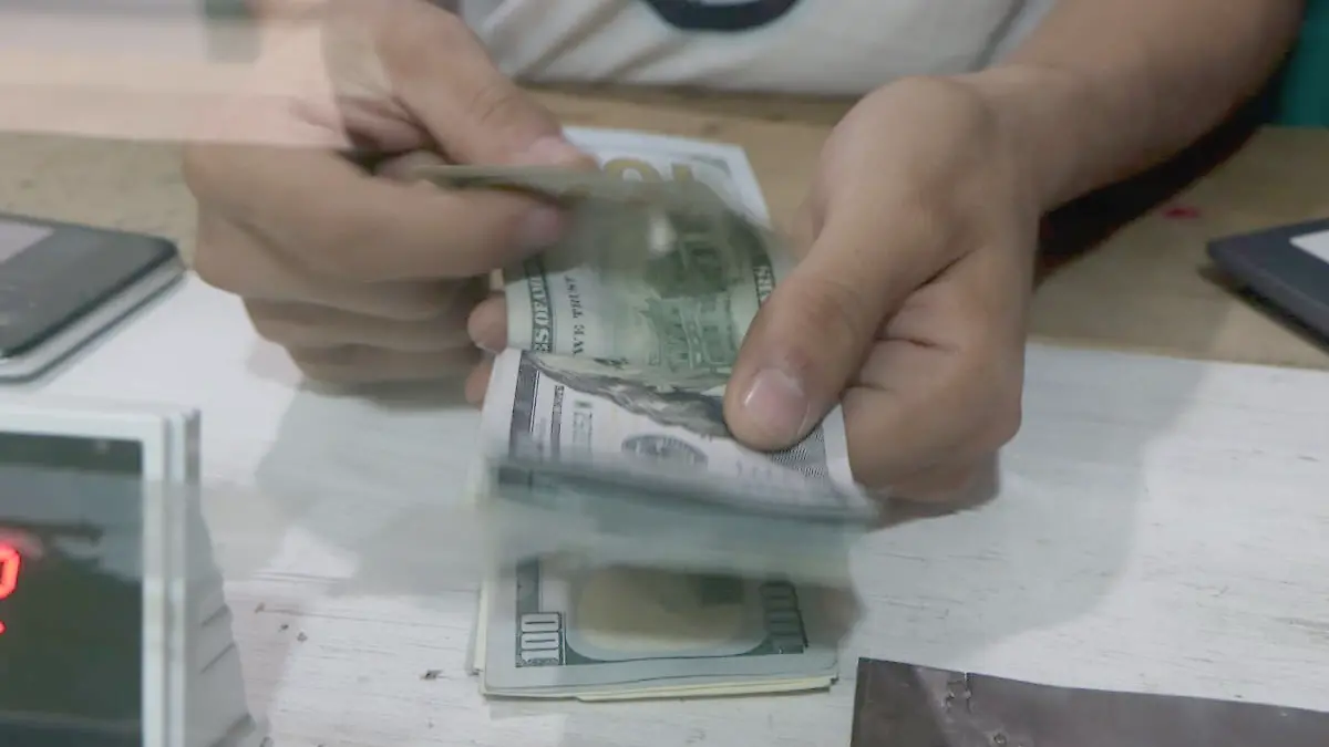 Contando dólares