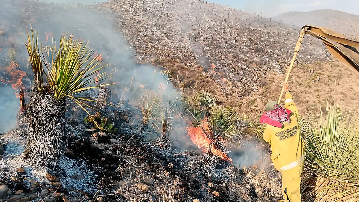 Combate-a-incendios