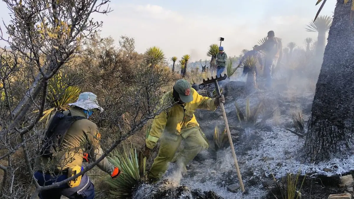 Control de incendio