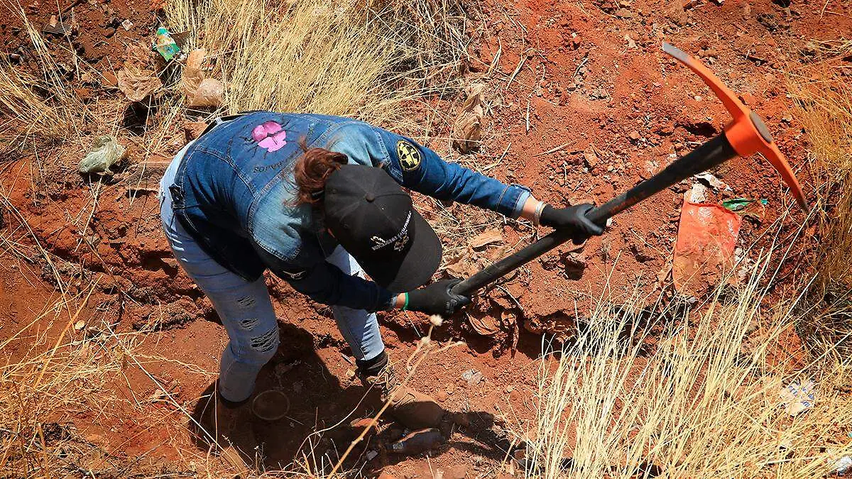 Labores de búsqueda