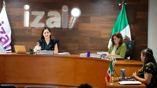 Sesión-del-IZAI