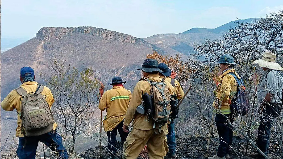 Combatientes del incendio en sierra de Morones