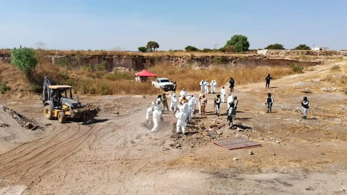 Búsqueda forense