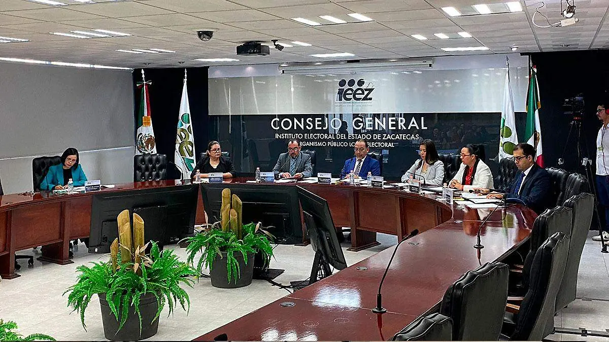 IEEZ en sesión permanente