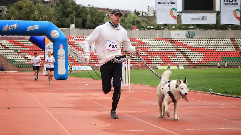 Circuito Running OEM Zacatecas