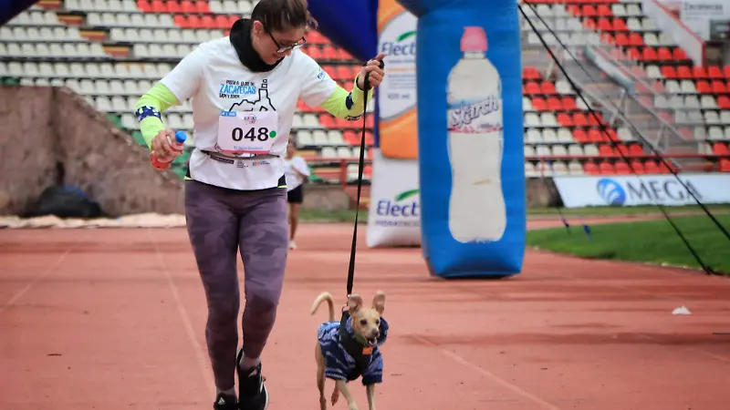 Meta Circuito Running OEM Zacatecas