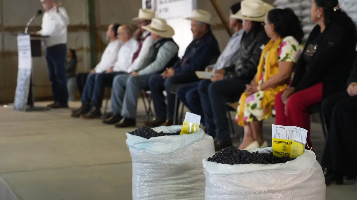 Entrega de frijol a productores