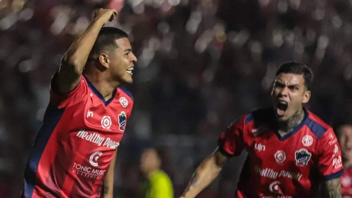 Freseros de Irapuato