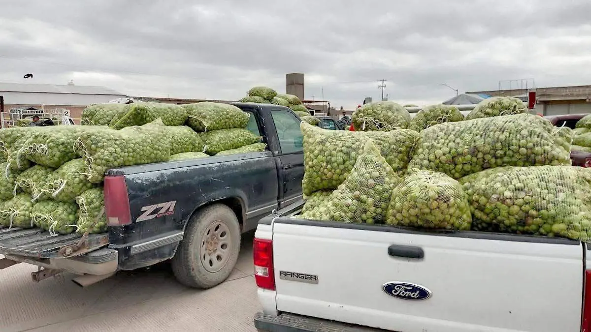 Tomatillo