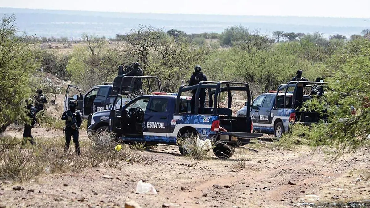 Operativo de la Policía Estatal