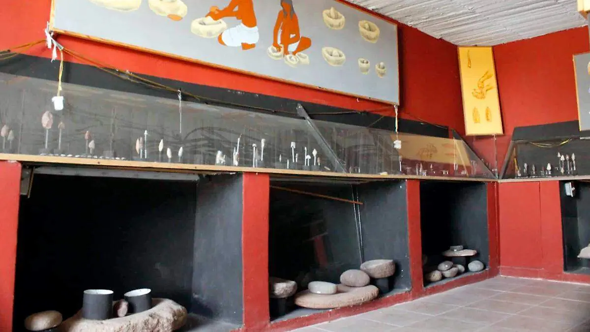 Museo Lorto