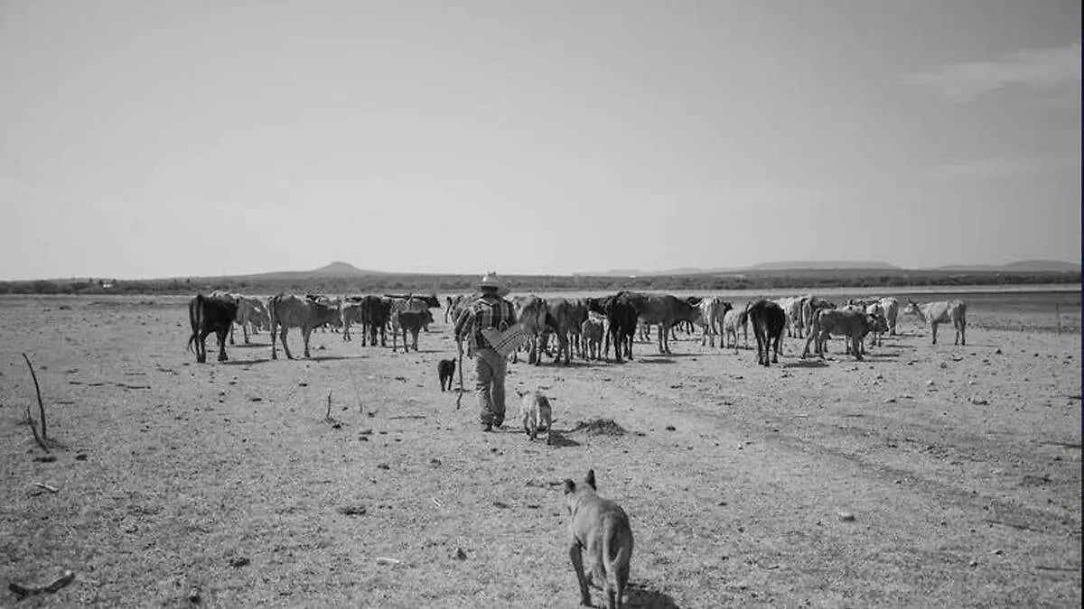 Fotografía de Rodrigo Anguas